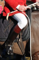 Chasse au renard Huntsman prêt pour la chasse à cheval avec selle et manteau rouge fond stock, photo, photographie, image, photo,