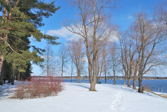 Early Spring In Imatra, Finland