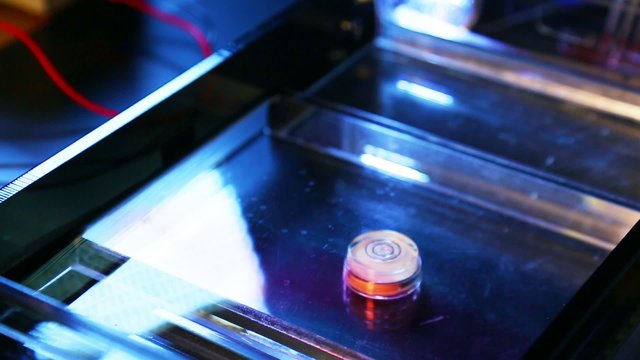Adding samples in Gel Electrophoresis