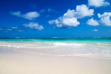sea