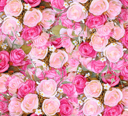 Close up pink roses texture and background