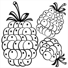 raspberries isolated on white background