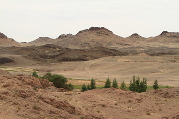 Die Wüste Gobi in der Mongolei