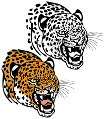 leopard head