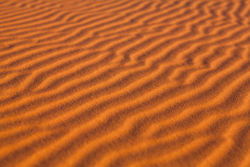 Obraz premium Sand dunes in Western Sahara Desert, Morocco