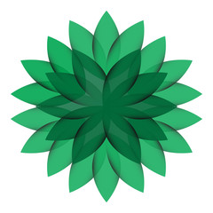 Green Wheel Flower transparent