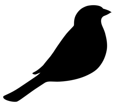 Die 216 465 Besten Bilder Stock Fotos Und Vektorgrafiken Zu Vogel Adobe Stock
