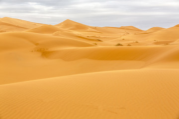 Fototapeta na wymiar Erg Chebbi Wüste, Marokko