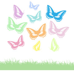 Schmetterlinge und Wiese