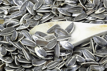 sunflower seeds