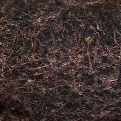 Natural earth