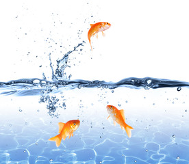 goldfish jumping out of the water - escape concept