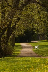 in the park