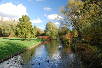 Le long étang en automne