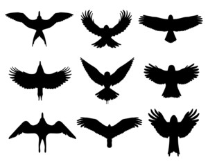 Fototapeta premium Black silhouettes of birds in flight, vector isolated