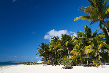 Tropical beach with boat and palms
