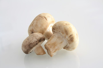 mushroom