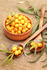 Fresh sea-buckthorn berries in wooden bowl