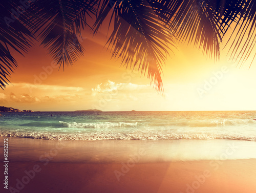 отдых пальма пляж побережье море солнце закат скачать
