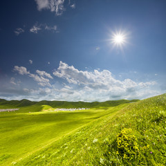 Obraz premium Green landscape