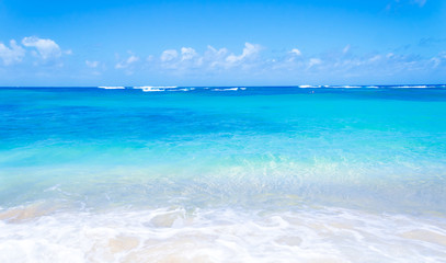 Fototapeta na wymiar Gentle waves on the sandy beach in Hawaii