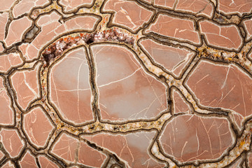 Septaria concretion mineral surface