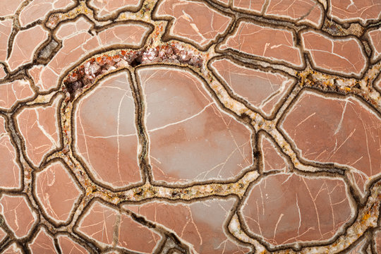 Septaria concretion mineral surface