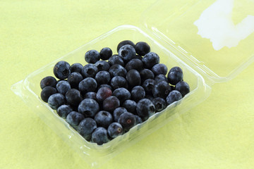 Blueberries in a Plastic Box