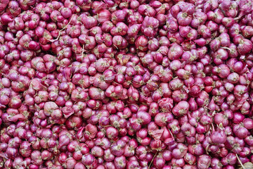 a pile of red onions