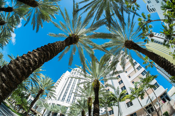 Fototapeta premium Miami Beach