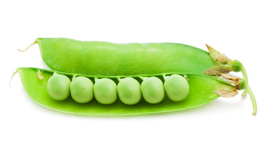 Pea