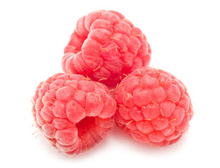 Fresh raspberries