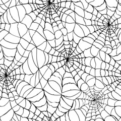 Obraz premium spider web texture background