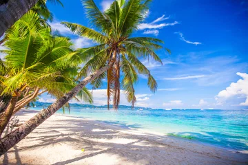 Door stickers Island Coconut Palm tree on the white sandy beach