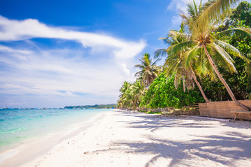 Tropical beach with beautiful palms and white sand, Philippines