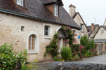 Fototapeta na wymiar Montresor the charming small country town in the valley of Loire