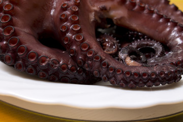 octopus on the plate