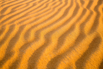Arabian desert