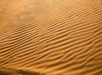 Arabian desert
