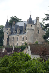 Obraz premium Castle of Montresor in the Loire Valley, France