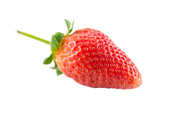 Fresh strawberries isolate