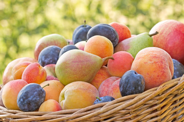 Organic fruits in a  wicker basket