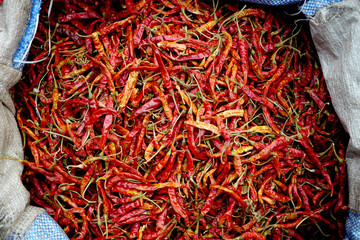 Fototapeta premium dried chilli spices