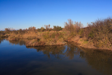 Fototapeta na wymiar Nature reserve of Valle canal Novo