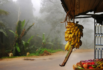 asian market on palms background