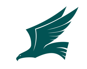 Majestic flying falcon bird