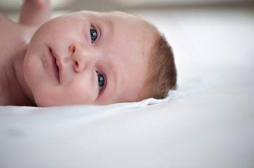 Newborn portrait