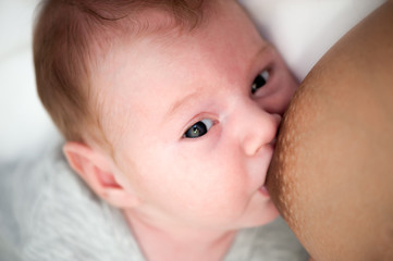 Mother feeding her son