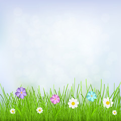 Fototapeta na wymiar Background with sky, grass and flowers