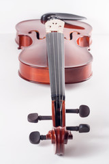 violin